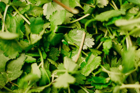 Cilantro Salad Dressing