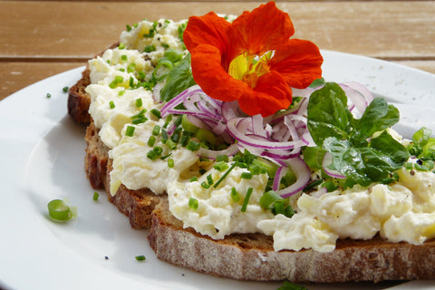 Splendor Garden’s Egg Salad Sandwiches