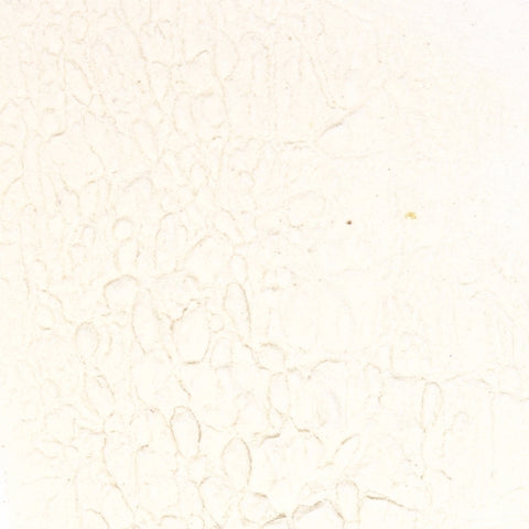 Arrowroot Powder - Splendor Garden