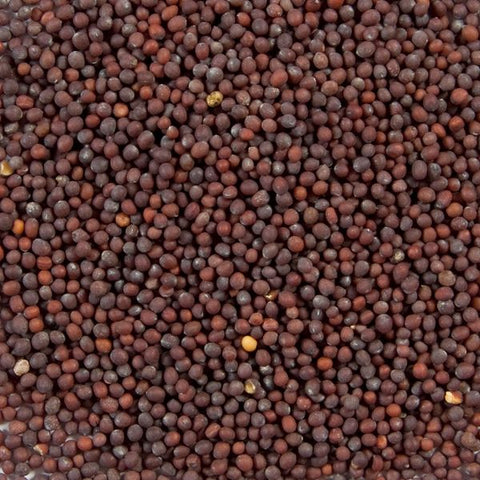 Mustard Seed Brown, Whole - Splendor Garden