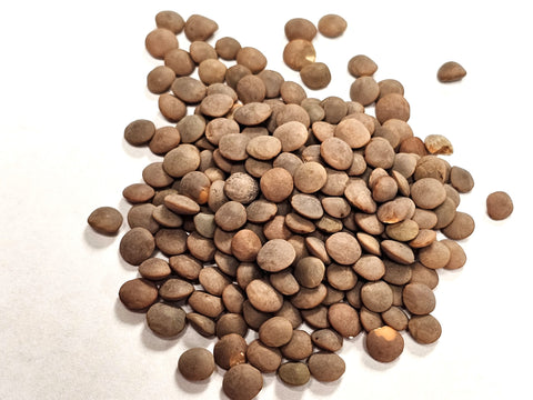 Red Lentils