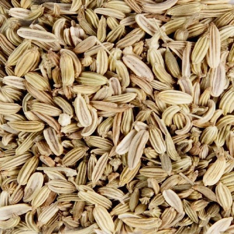 Fennel Seeds - Splendor Garden