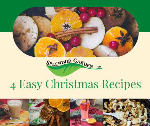 4 Easy Christmas Recipes