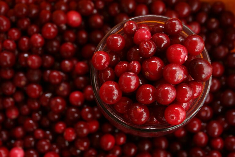 Cinnamon Maple Cranberry Sauce