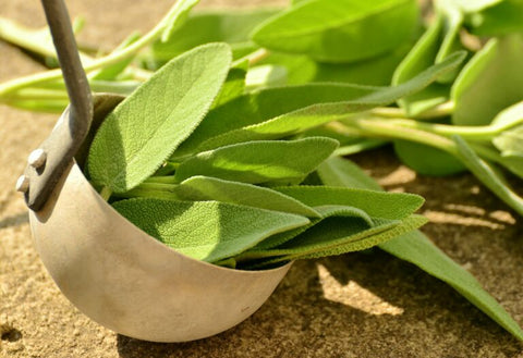 Using Sage in the Kitchen