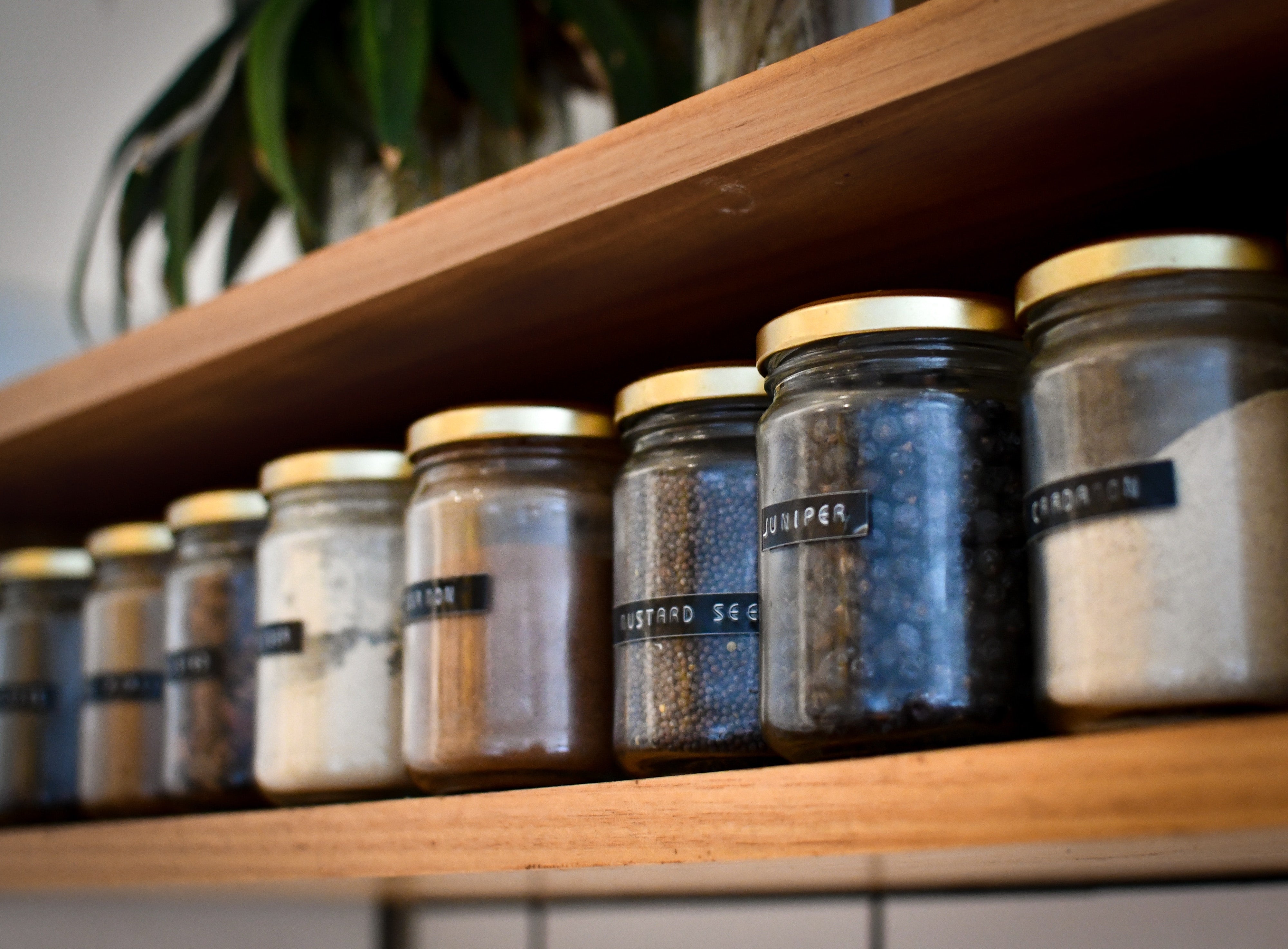Top 10 Spices You Need in Your Pantry - Splendor Garden
