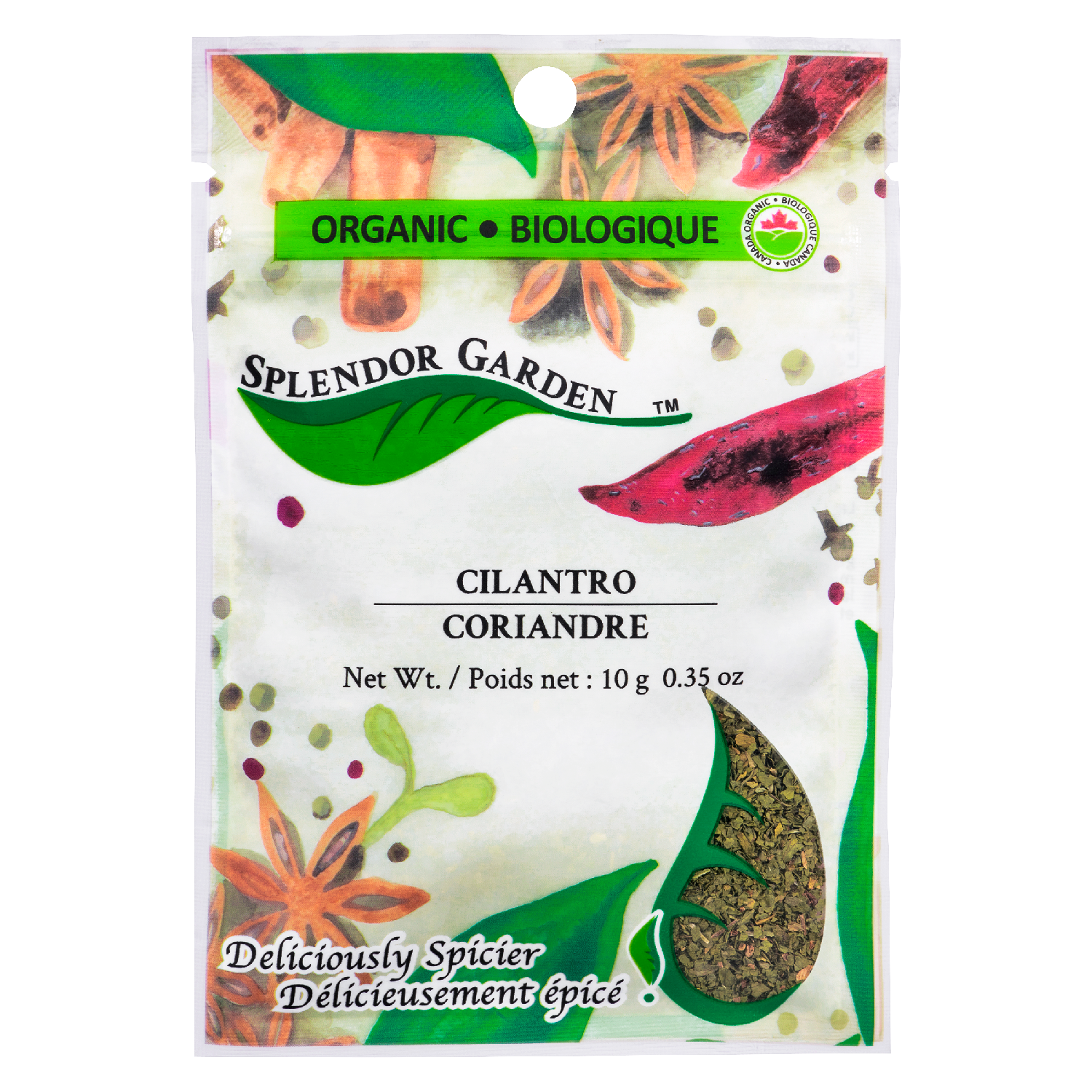 Cilantro - Splendor Garden