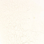 Arrowroot Powder - Splendor Garden