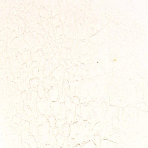 Arrowroot Powder - Splendor Garden