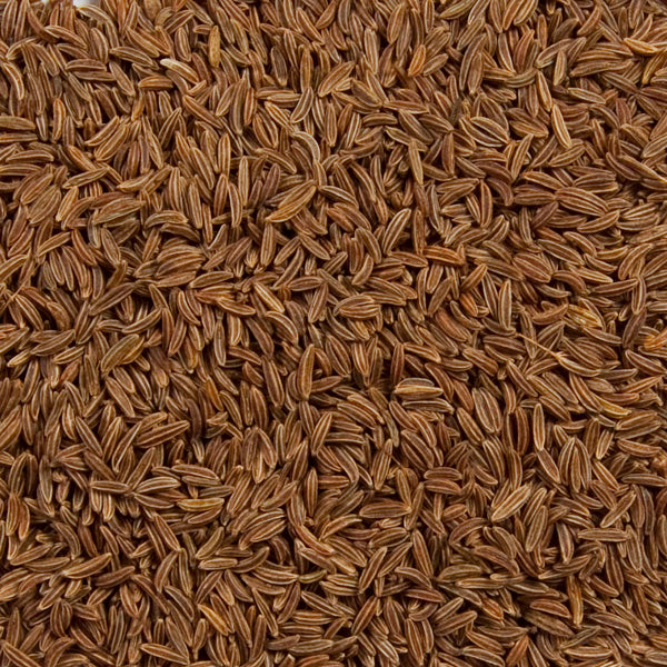 Wholesale Caraway Seed