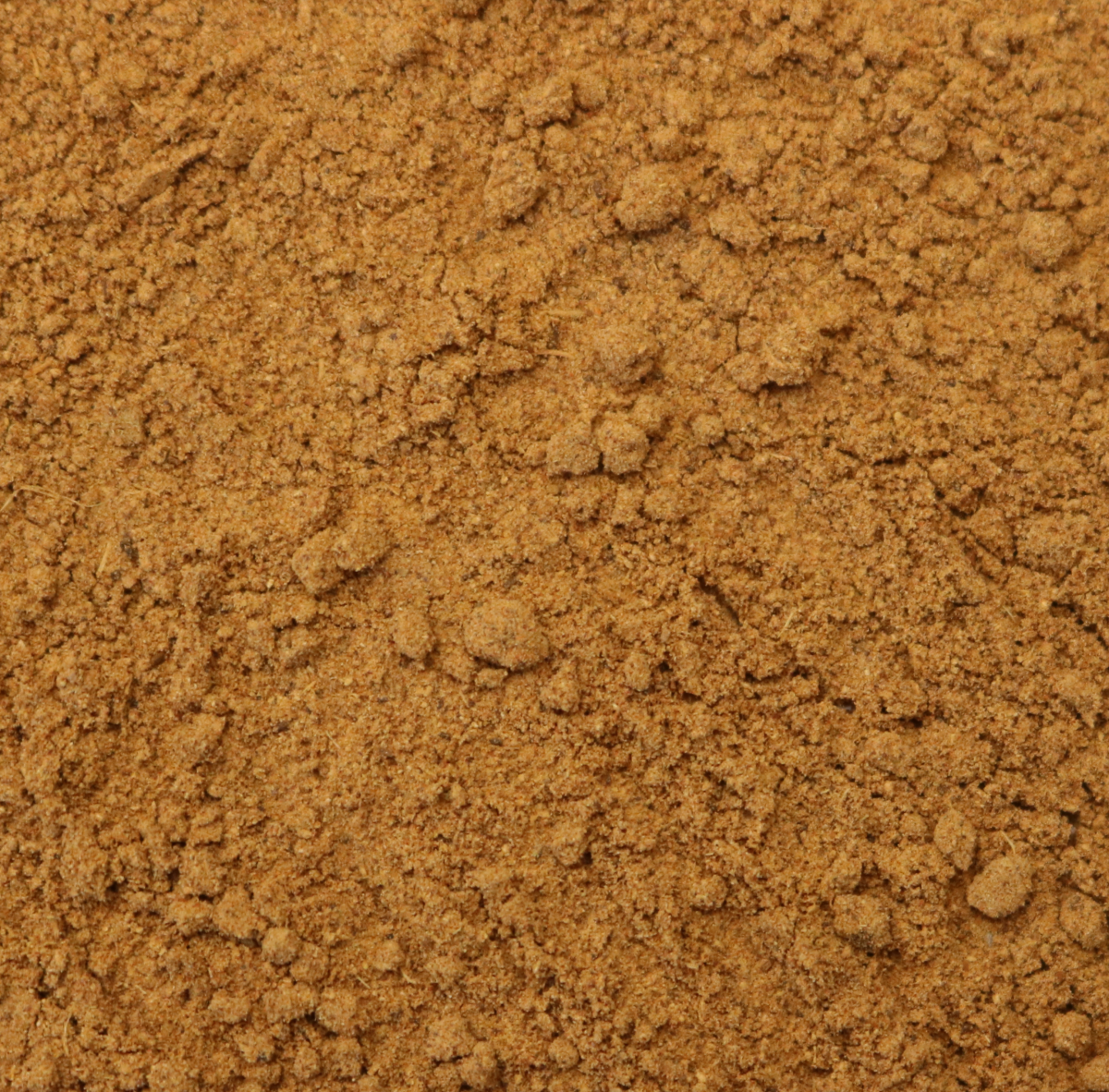 Wholesale Ginger Snap Spice - Splendor Garden