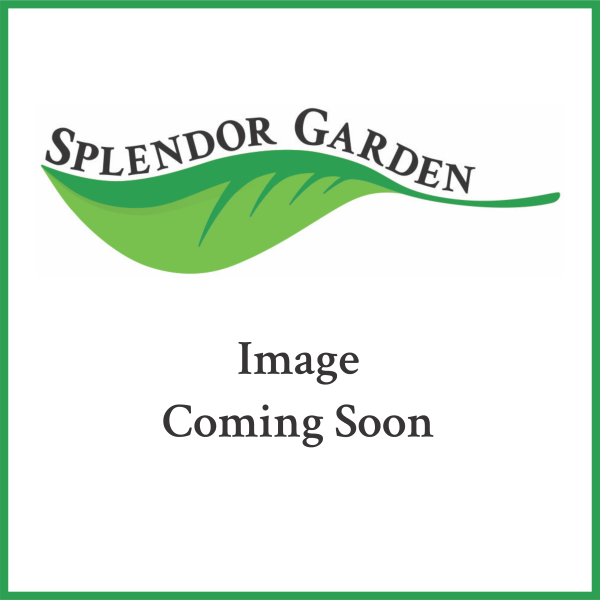 Wholesale Sea Salt Coarse