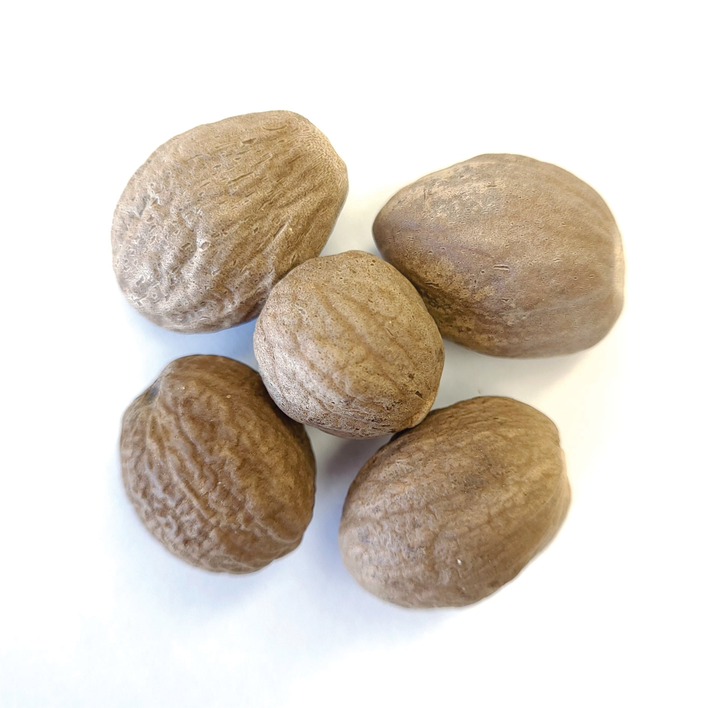 Nutmeg Whole - Splendor Garden