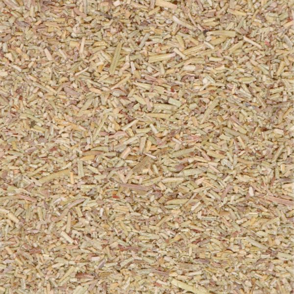 Rosemary T/C (Teabag Cut) - Splendor Garden