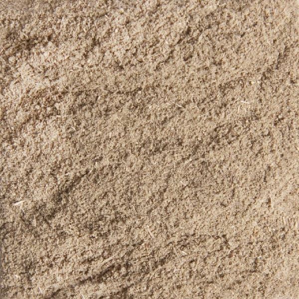 Sage Ground - Splendor Garden