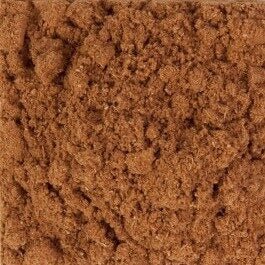 Star Anise Ground - Splendor Garden